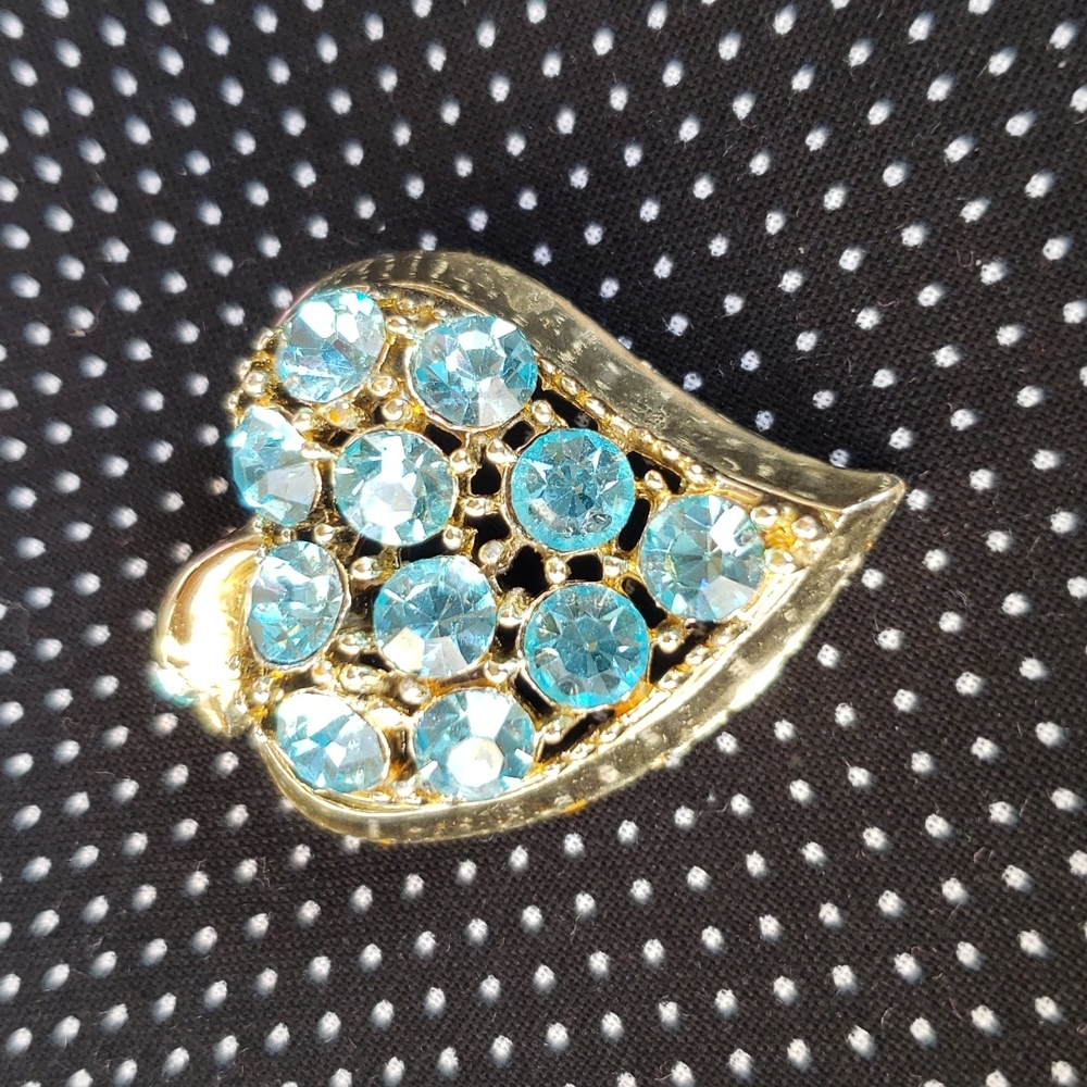 GOURGEOUS BLUE BROACH